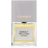 Carner Barcelona Sweet William - фото 19040