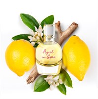 Lanvin A Girl In Capri - фото 19526