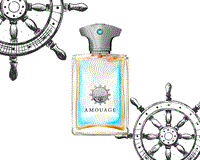 Amouage Portrayal Man - фото 20607