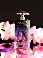 Prada Candy Night - фото 20877