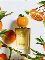 D&G Orange - фото 21665