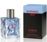 Iceberg Burning Ice