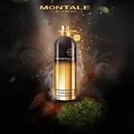 Montale Vetiver Patchouli