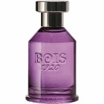 Bois1920 Spigo 1920