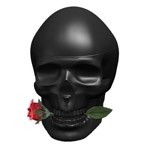 Ed Hardy Skulls &  Roses for Him