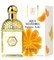 Guerlain Aqua Allegoria Mandarine Basilic - фото 10485