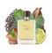 Hermes Terre D'Hermes Eau Intense Vetiver - фото 19846