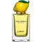 D&G Fruit Collection Lemon - фото 22469